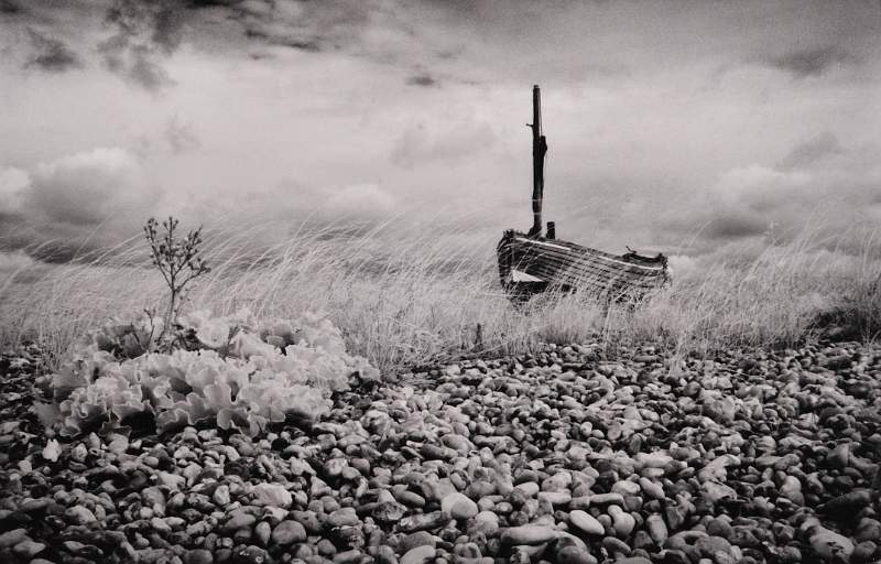 Kelly David - High and Dry.jpg